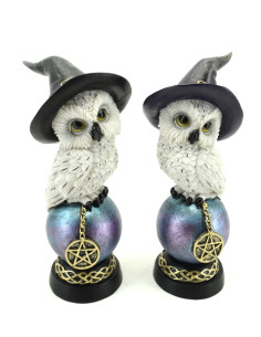 Buhos con Pentagrama, pq...