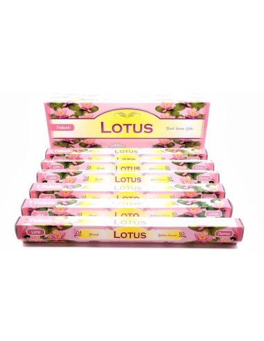 Incienso Lotus Hexag - DH573