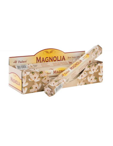 Incienso Magnolia Hexag - DH574