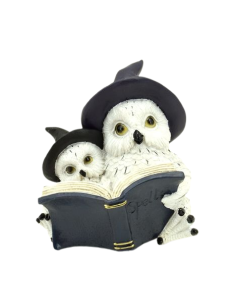 Buhos Lectores - 76609 2