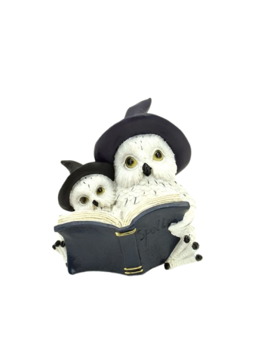 Buhos Lectores - 76609