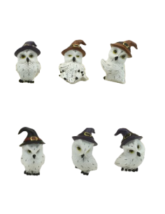 Buhos con sombrero de... 2