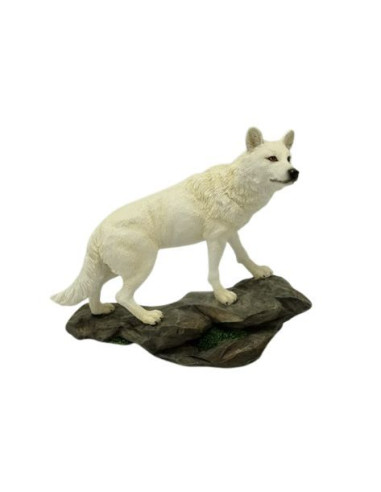 Lobo sobre piedra - 76696