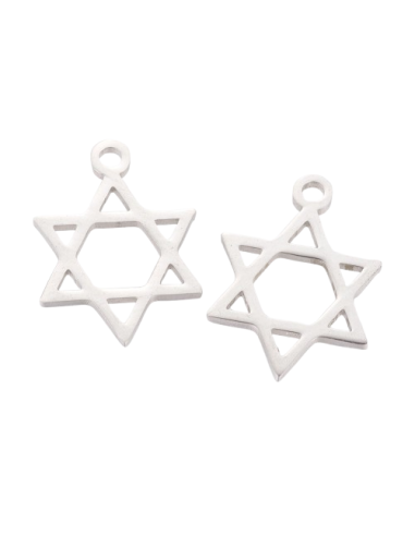 AC 308 Colgante Estrella de David Mini