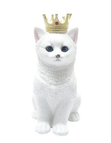 Gato Blanco - 76630