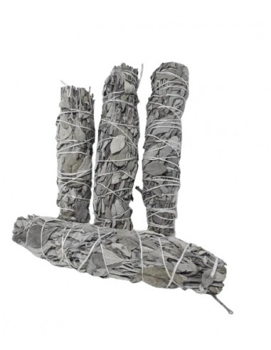 Atado de Salvia - 99100