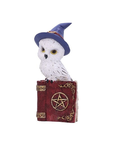 Buhos en Libro con Pentagrama (Pack 2 uds) - 76603