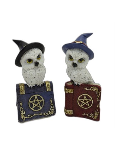 Buhos en Libro con Pentagrama (Pack 2 uds) - 76603