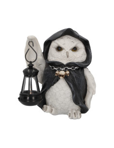 Buho Farolillo - 90015 2