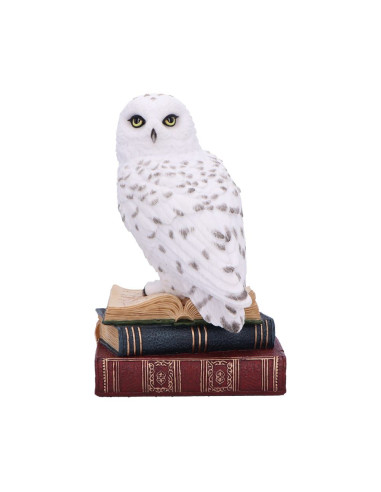 Buho sobre Libros - NN90017
