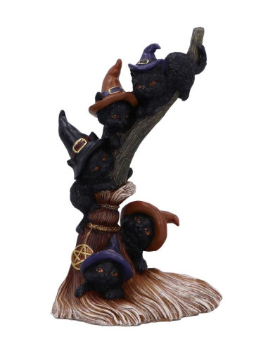 Gatos en escoba vertical - NN90822