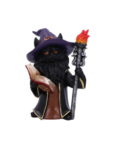 Gato Vara Libro abierto -...