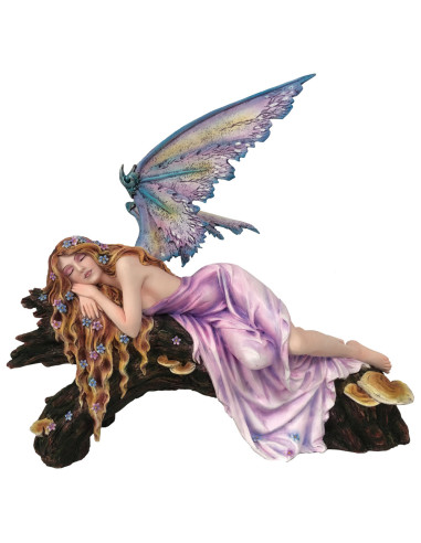 Hada Drema - NN93009