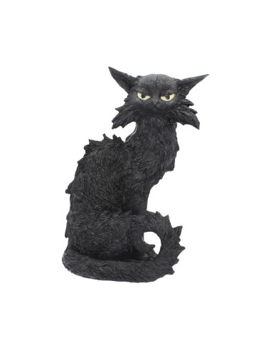 Gato Salem - NN92105