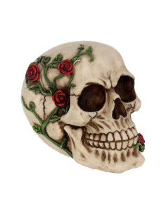 Calavera Rosa del más allá...