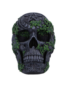 Calavera Pentagrama - NN96323 2