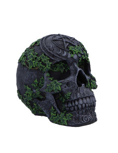 Calavera Pentagrama - NN96323