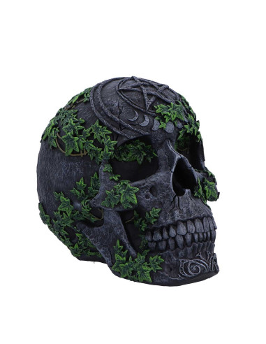 Calavera Pentagrama - NN96323