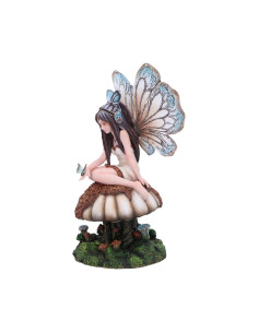 Hada Chrysalis  - NN93042 2