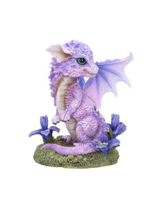 Dragón Iris Flower - NN90302