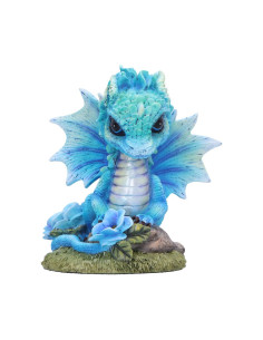 Dragón Blue Poppy Flower -...