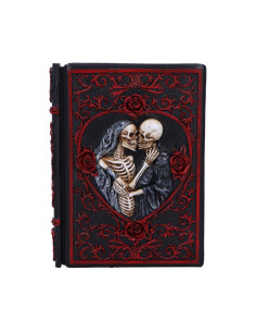 Notebook Lovers (Grimorio)...
