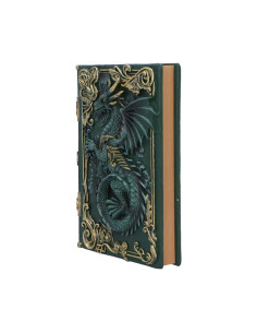 Notebook Dragon's... 2