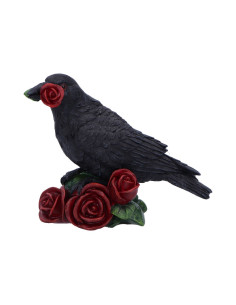 Rose of the Raven - NN96705