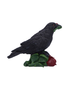 Rose of the Raven - NN96705 2