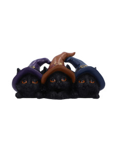 Trio de Gatos - NN90814