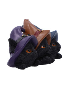 Trio de Gatos - NN90814 2