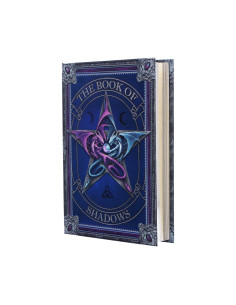 Notebook The Book of...