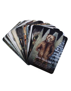 Cartas Oráculo Seasons of... 2