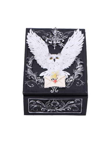 Caja Tarot Owl - NN95710