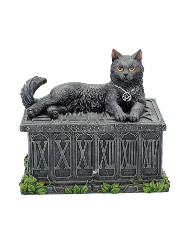 Caja Tarot Wicca Gato - NN95712