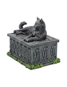 Caja Tarot Wicca Gato -... 2