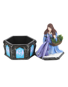 Caja Hada Solsticio -... 2