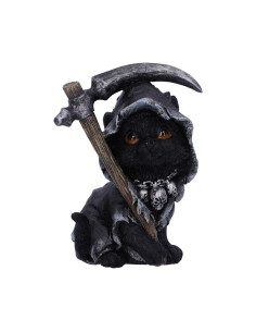 Gato Amara, 10.2 CMS - NN