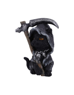 Gato Amara, 10.2 CMS - NN 2