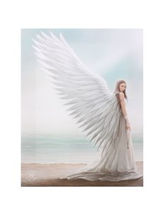 Cuadro Spirit Guide 51426