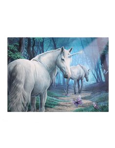 Cuadro Sendero Unicornio de Lisa Parker - 51289