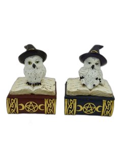 Buhos en Libro con triple luna, pack 2 - 76604