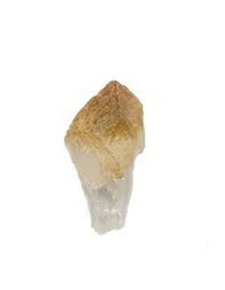 RM706 - Piedra Citrino