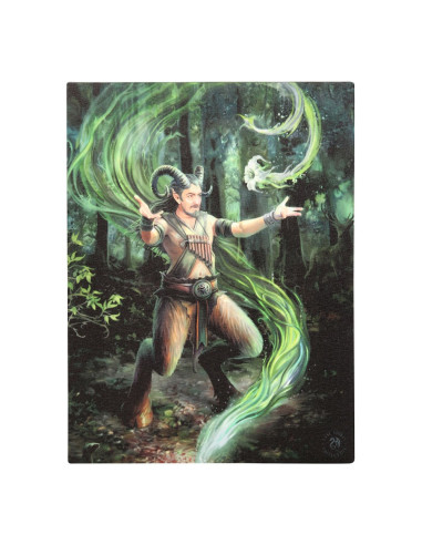 Cuadro Mago Elemento Tierra de Anne...