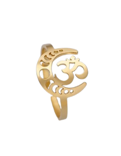 AA125 Anillo Om y fases...