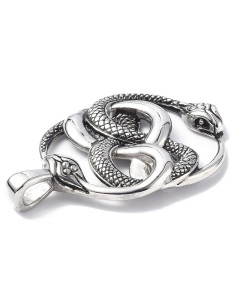 AC409 - Serpiente Ouroboros 2