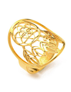 AA246 Anillo Cazasueños,...