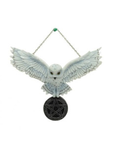 Buho con pentagrama - 76617