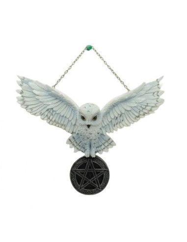 Buho con pentagrama - 76617